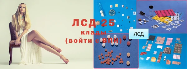 трава Аркадак