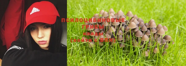 трава Баксан