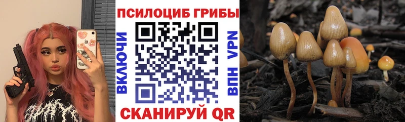 Галлюциногенные грибы Psilocybine cubensis  наркотики  KRAKEN ССЫЛКА  Великий Устюг 